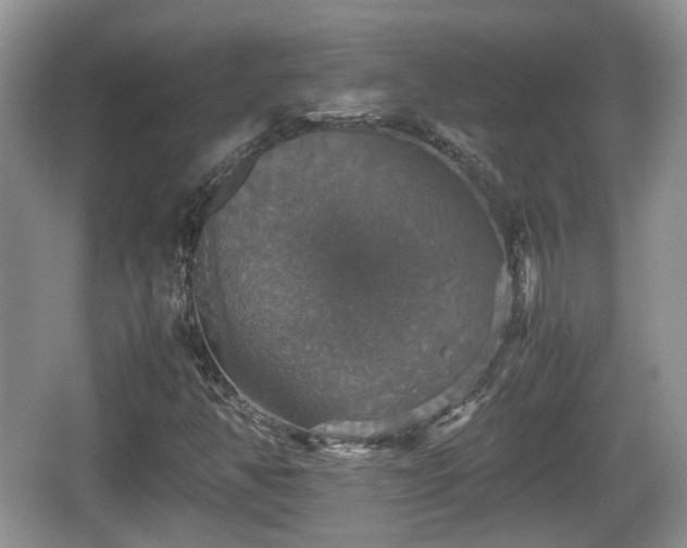 X0000066541350200603241400