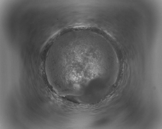 X0000066541351200603241400