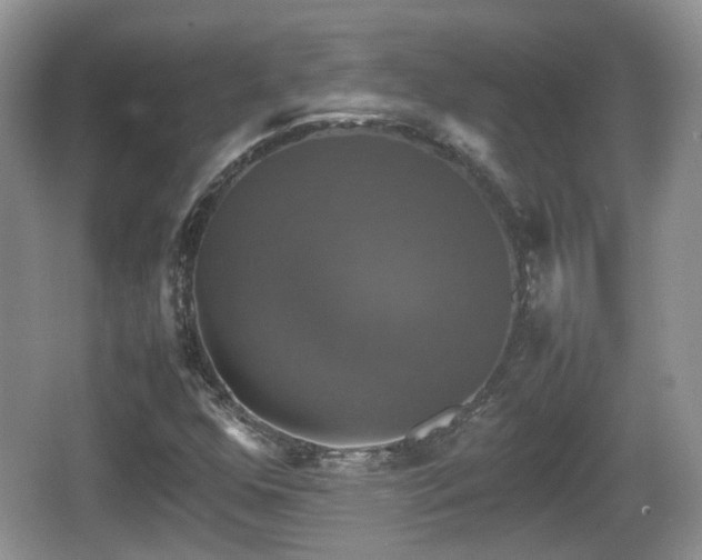 X0000066541352200603241400