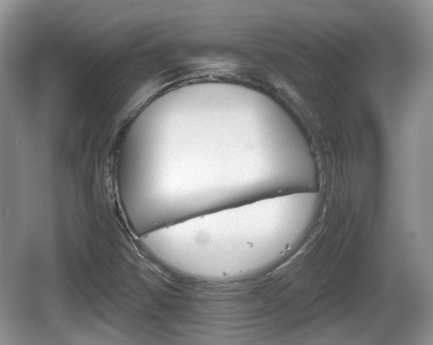 X0000066541354200603241400