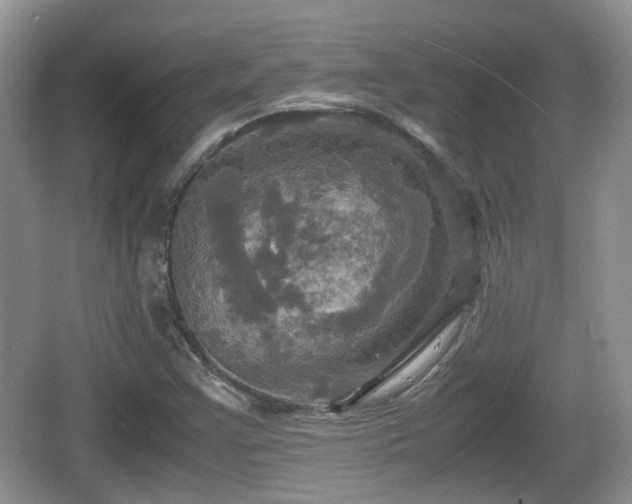 X0000066541355200603241400