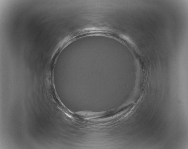 X0000066541357200603241400