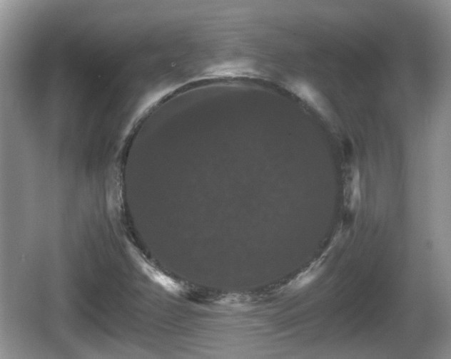 X0000066541358200603241400