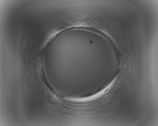 X0000066541359200603241400