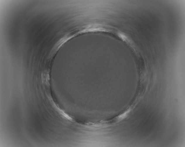 X0000066541361200603241400