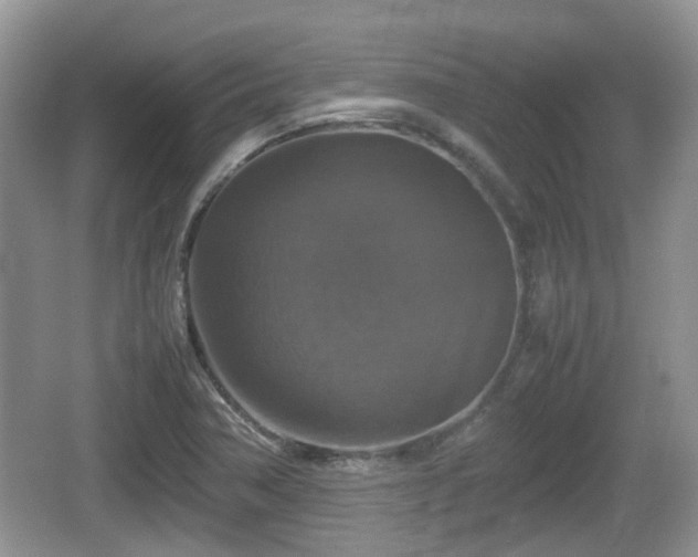 X0000066541362200603241400