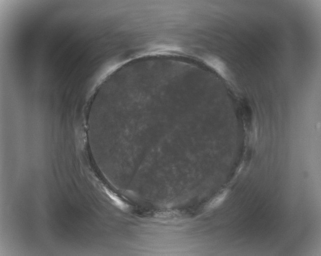 X0000066541363200603241400