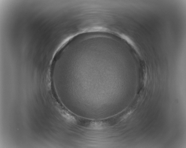 X0000066541364200603241400