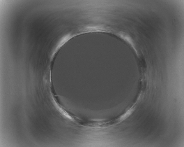 X0000066541365200603241400