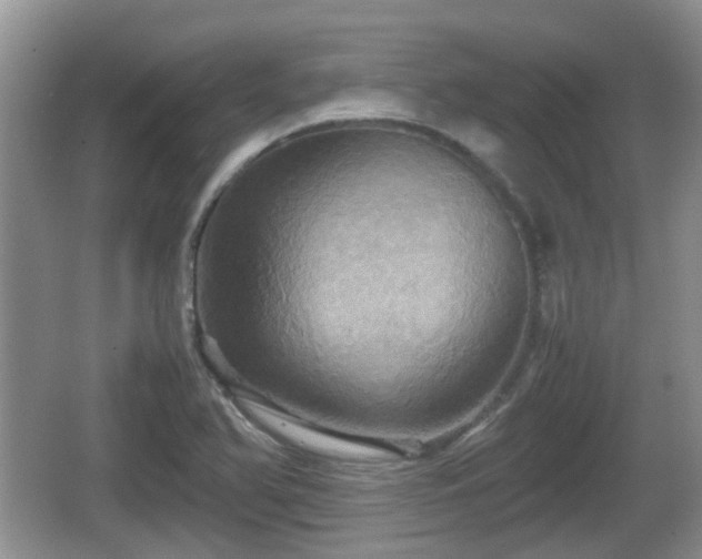 X0000066541366200603241400