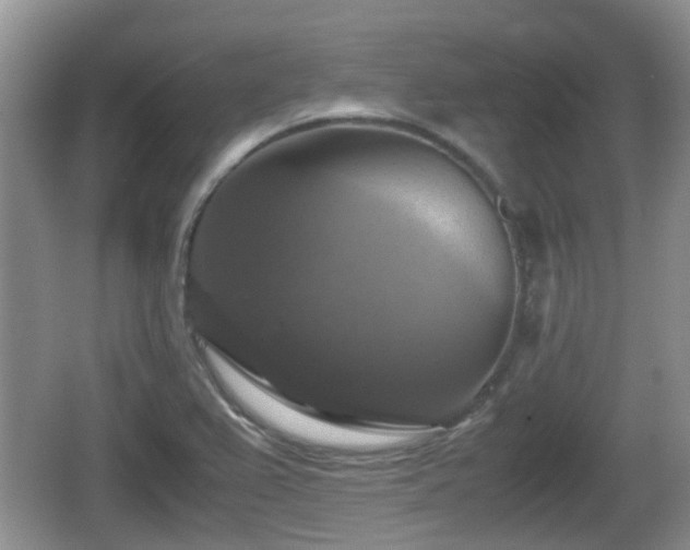 X0000066541367200603241400