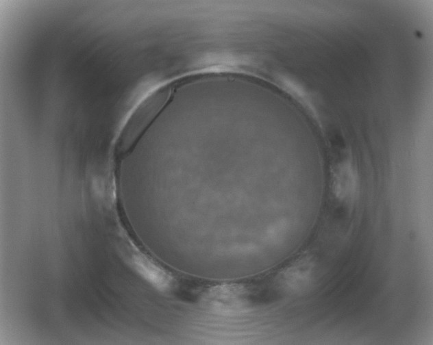 X0000066541368200603241400