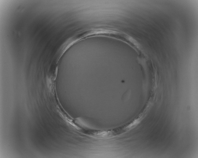 X0000066541369200603241400