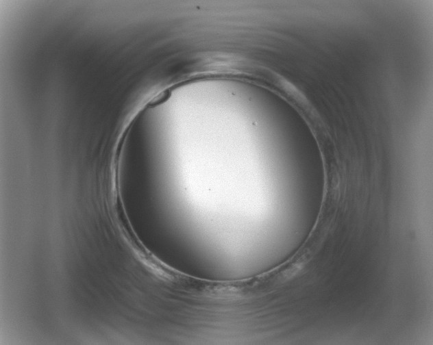 X0000066541370200603241400