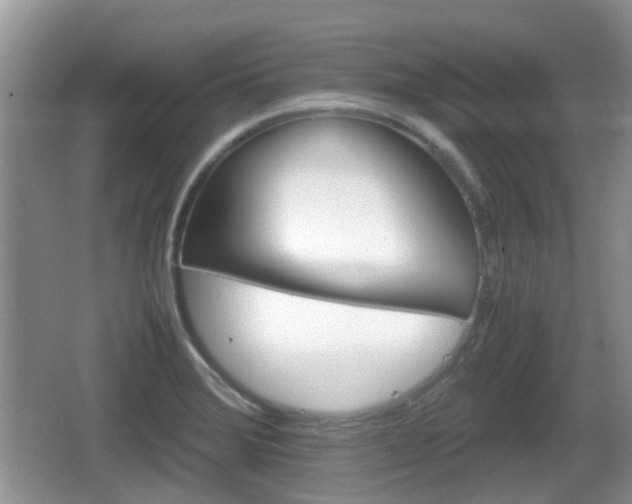 X0000066541372200603241400