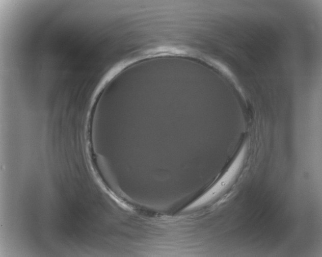 X0000066541373200603241400