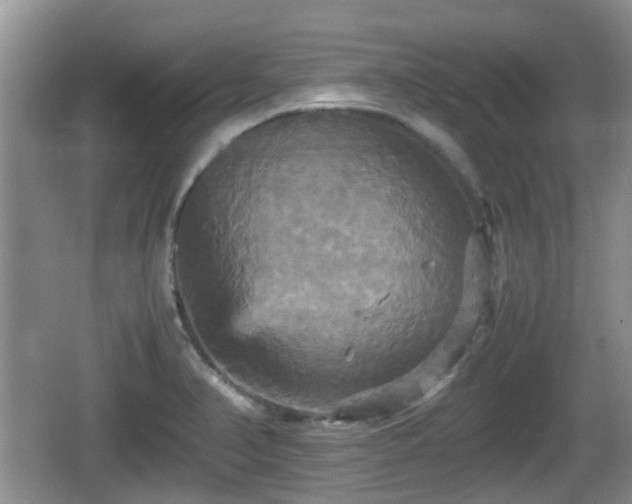 X0000066541374200603241400