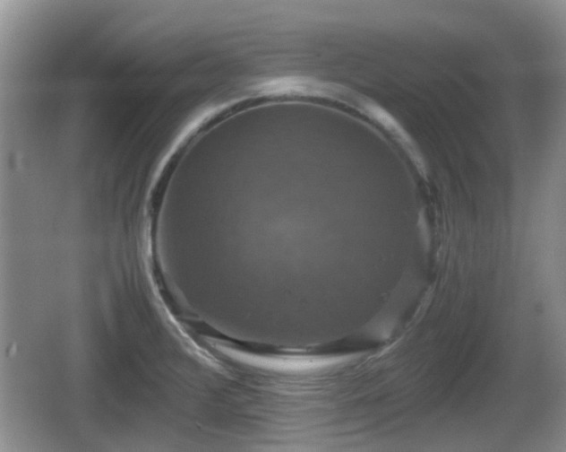 X0000066541376200603241400