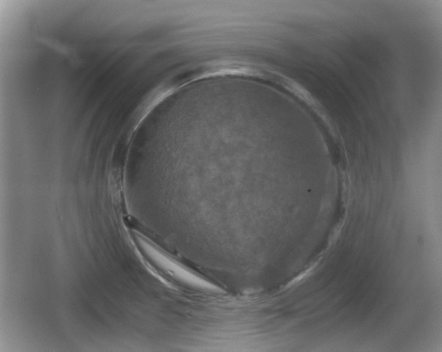 X0000066541377200603241400