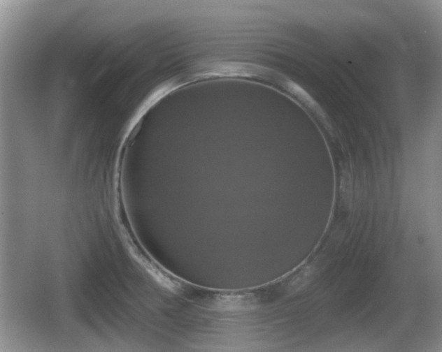 X0000066541378200603241400