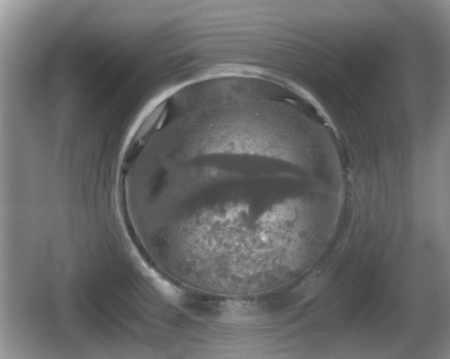 X0000066541379200603241400