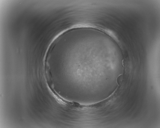 X0000066541380200603241400