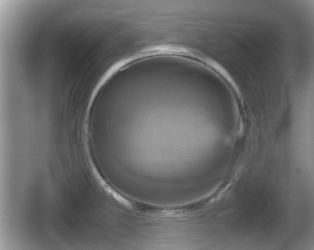 X0000066541381200603241400