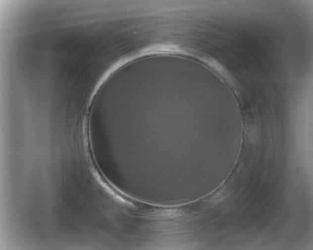 X0000066541382200603241400