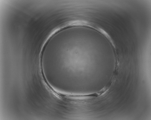 X0000066541384200603241400