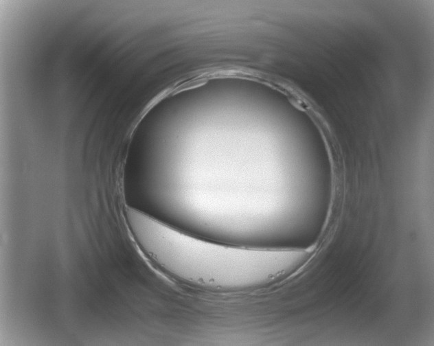 X0000066541385200603241400