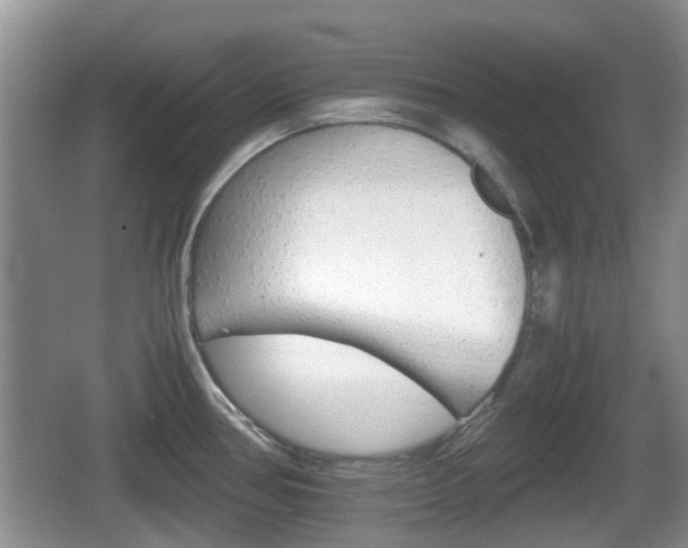 X0000066541386200603241400