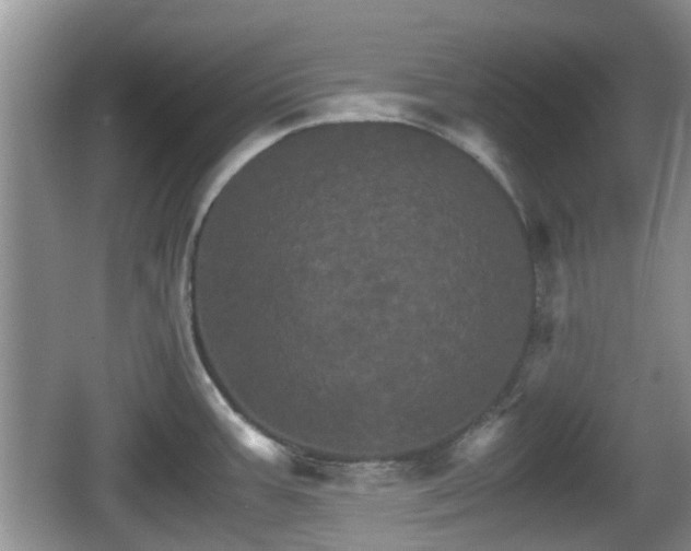 X0000066541387200603241400