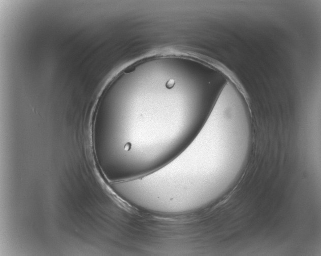 X0000066541388200603241400