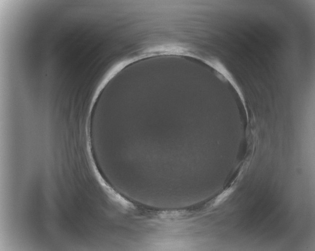 X0000066541389200603241400