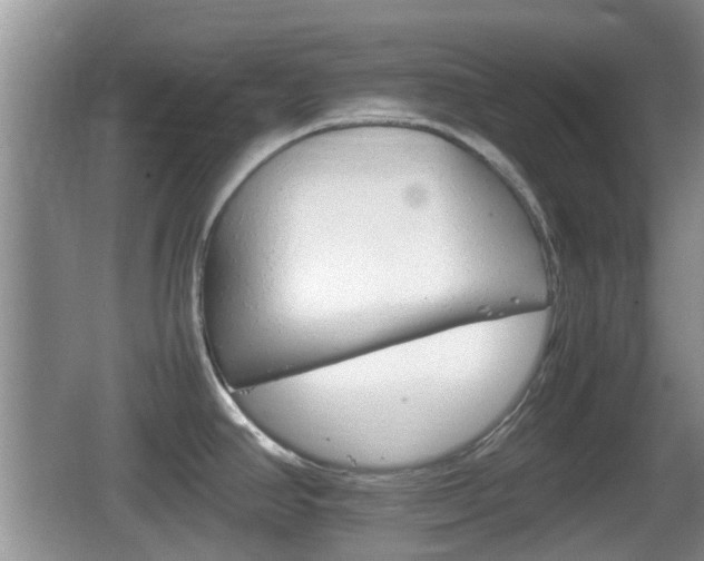 X0000066541390200603241400