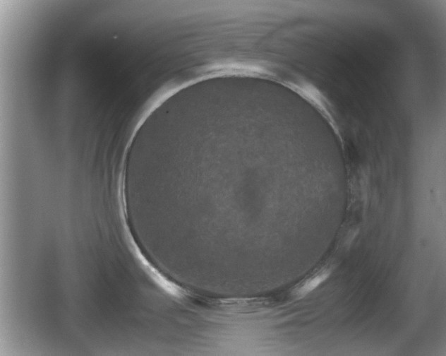 X0000066541391200603241400