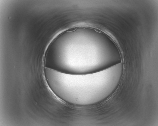 X0000066541392200603241400