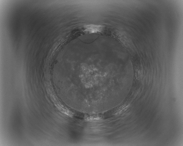 X0000066541393200603241359