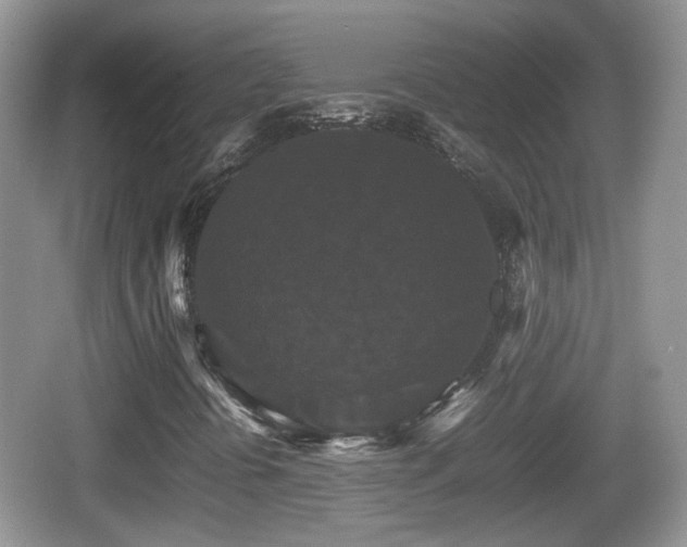 X0000066541394200603241359