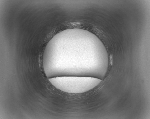 X0000066541395200603241359