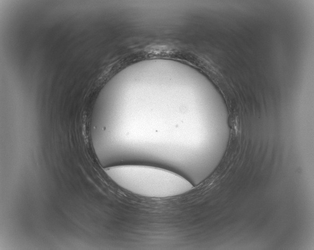 X0000066541396200603241359