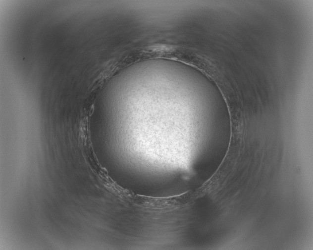 X0000066541397200603241359