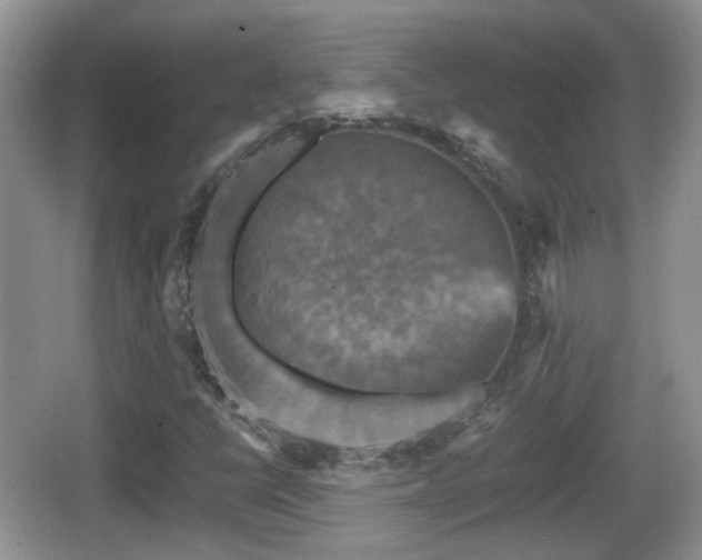 X0000066541398200603241359