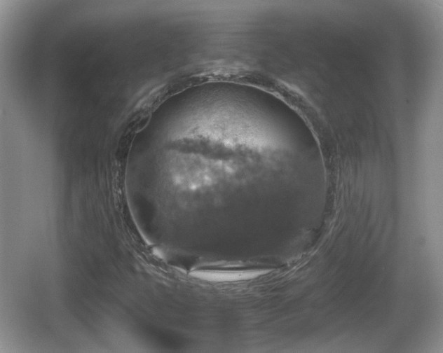 X0000066541399200603241359