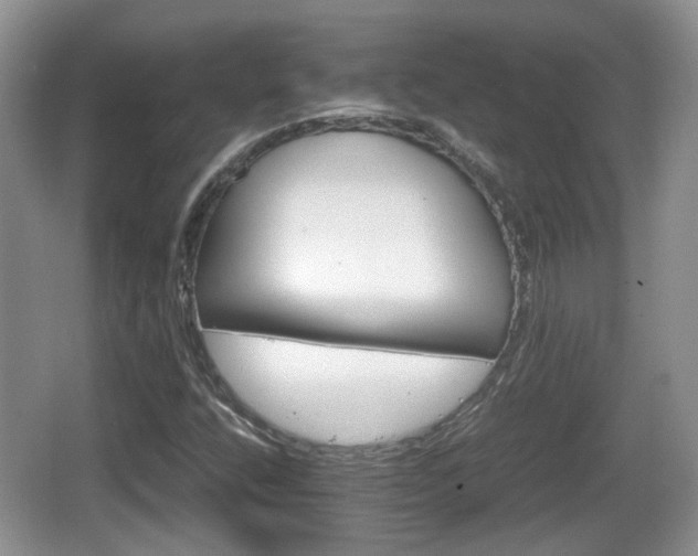 X0000066541400200603241359