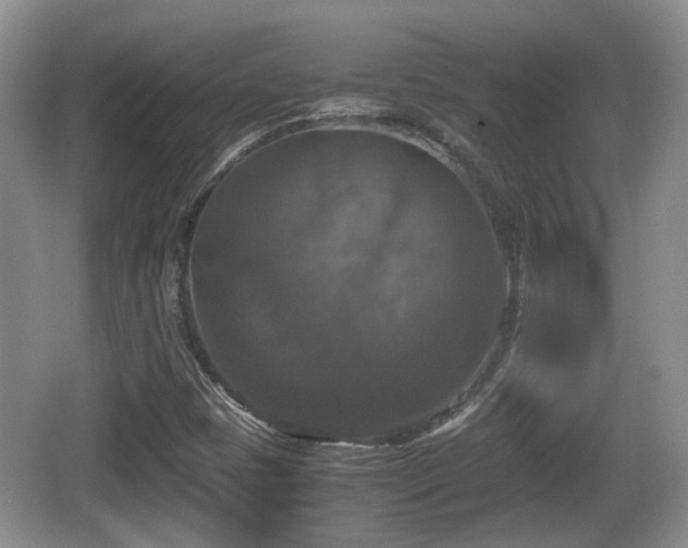 X0000066541401200603241359