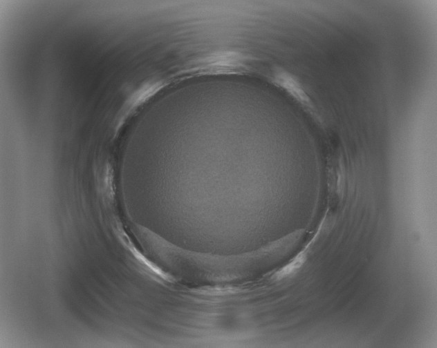 X0000066541402200603241359