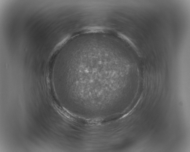 X0000066541403200603241359