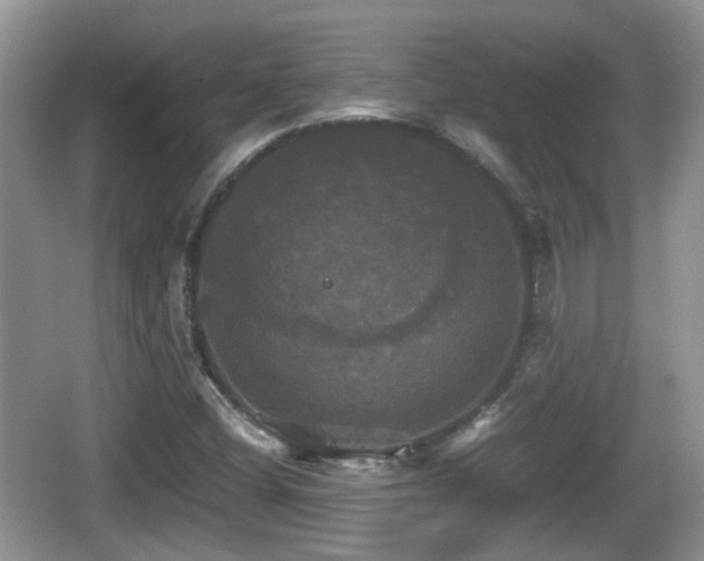 X0000066541404200603241359