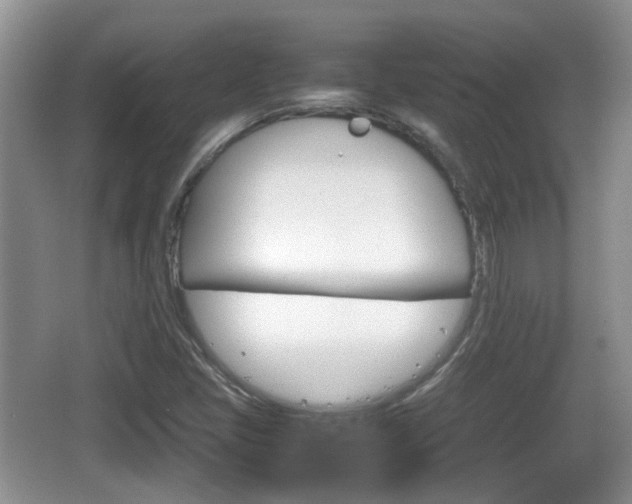 X0000066541405200603241359